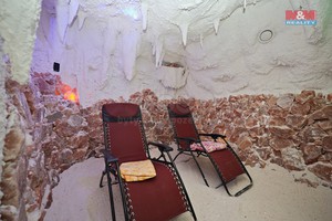 Prodej obchod a služby, Ledeč nad Sázavou, ul. Mlýnská