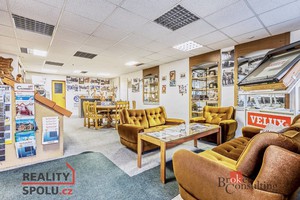 Prodej komerční, 450 m2, KrasliceHřbitovní