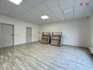 Prodej obchod a služby, 96 m2, Čelákovice