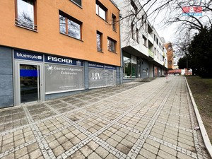 Prodej obchod a služby, 96 m2, Čelákovice