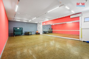 Prodej Multifunkční komplex v Ústí nad Labem, ul. Truhlářova