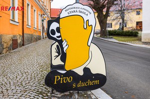 Prodej obchodního prostoru v Chudenicích