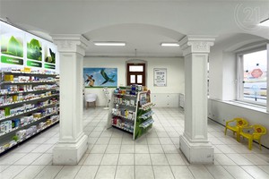 Prodej komerčních prostor v obci Šternberk