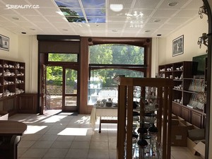 Prodej obchodního prostoru 89 m2