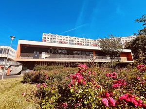 Prodej komerčního objektu, 2 890 m2 - Most
