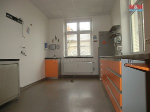Prodej stomatologické ordinace, 17 m2, Opava