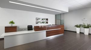 Kancelářské prostory, 217 m2, V olšinách, Atrium House