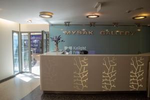 Kancelářské prostory, 822 m2, Vodičkova, Myšák Gallery
